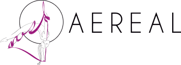 logo-aereal-h